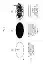 Fig. 03 - INDICATOR MARK RECOGNITION