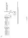 Fig. 20 - High-throughput image and video compression