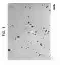 Fig. 02 - Sintered alloy and manufacturing method thereof