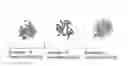 Fig. 01 - Leadless free-cutting copper alloy and method for producing the same