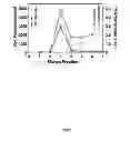 Fig. 09 - Multimodal silica-based nanoparticles