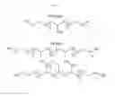 Fig. 02 - High-concentration aqueous dispersions of graphene using nonionic, biocompatible copolymers