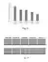 Fig. 08 - Biodegradable, non-thrombogenic elastomeric polyurethanes