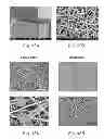 Fig. 10 - Biodegradable, non-thrombogenic elastomeric polyurethanes