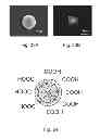 Fig. 15 - Biodegradable, non-thrombogenic elastomeric polyurethanes