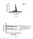 Fig. 06 - BIOCOMPATIBLE COMPOSITE MATERIALS