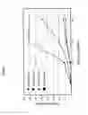 Fig. 08 - Producing human CD34+CD7+CD5+CD1a− progenitor T cells and method of treatment