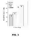 Fig. 04 - METHODS FOR IMPROVING GUT HEALTH