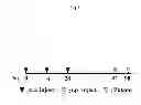 Fig. 02 - Antibody against mutant α-actinin-4