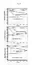 Fig. 08 - Antibody against mutant α-actinin-4