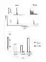 Fig. 04 - Small molecule trail gene induction by normal and tumor cells as an anticancer therapy