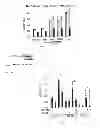 Fig. 06 - Small molecule trail gene induction by normal and tumor cells as an anticancer therapy