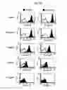 Fig. 09 - Methods for treating transplant rejection by administering anti-CD40 antibody