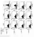 Fig. 22 - Methods for treating transplant rejection by administering anti-CD40 antibody