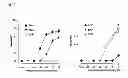 Fig. 02 - Medicinal agent for preventing exacerbation of malignant tumor, comprising combination of natriuretic peptide receptor GC-A and GC-B agonists