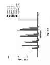 Fig. 07 - METHOD FOR PROTECTING PARVOVIRUS ANTIGEN