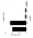 Fig. 08 - METHOD FOR PROTECTING PARVOVIRUS ANTIGEN