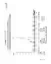Fig. 07 - Human immunodeficiency virus type 1 (HIV-1) N-terminal deleted GP120 immunogens