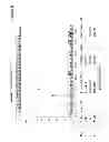Fig. 09 - Human immunodeficiency virus type 1 (HIV-1) N-terminal deleted GP120 immunogens
