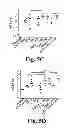 Fig. 08 - Combination adjuvant formulation