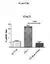 Fig. 09 - Methods and compositions for enhancing an immune response, blocking monocyte migration, amplifying vaccine immunity and inhibiting tumor growth and metastasis