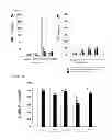 Fig. 09 - TREHALOSE COMPOUND, METHOD FOR PRODUCING SAME, AND PHARMACEUTICAL PRODUCT CONTAINING THE COMPOUND