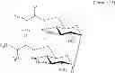 Fig. 17 - TREHALOSE COMPOUND, METHOD FOR PRODUCING SAME, AND PHARMACEUTICAL PRODUCT CONTAINING THE COMPOUND