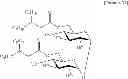 Fig. 39 - TREHALOSE COMPOUND, METHOD FOR PRODUCING SAME, AND PHARMACEUTICAL PRODUCT CONTAINING THE COMPOUND