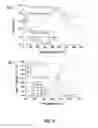 Fig. 08 - Multicomponent and biocompatible nanocomposite materials, methods of synthesizing same and applications of same
