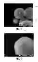 Fig. 07 - DENTAL COMPOSITIONS CONTAINING SILICA MICROBEADS