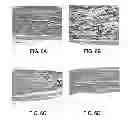 Fig. 06 - Cell-free tissue replacement for tissue engineering