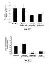 Fig. 09 - Cell-free tissue replacement for tissue engineering