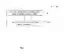 Fig. 04 - Methods of treating amniotic membranes using supercritical fluids and compositions and apparatuses prepared therefrom