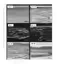 Fig. 06 - Methods of treating amniotic membranes using supercritical fluids and compositions and apparatuses prepared therefrom