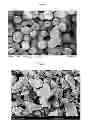 Fig. 02 - Coated controlled release active agent carriers