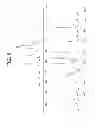 Fig. 06 - PHARMACEUTICAL COMPOSITIONS OF N-METHYL-2-[3-((E)-2-PYRIDIN-2-YL-VINYL)-1H-INDAZOL-6-YLSULFANYL]-BENZAMIDE