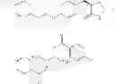 Fig. 30 - Respiratory disease treatment