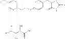 Fig. 31 - Respiratory disease treatment