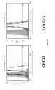 Fig. 05 - NANOPARTICLE TUMOUR VACCINES