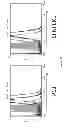 Fig. 12 - NANOPARTICLE TUMOUR VACCINES