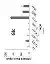 Fig. 32 - NANOPARTICLE TUMOUR VACCINES