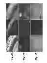 Fig. 04 - Manganese ion coated nanoparticles for delivery of compositions into the central nervous system by nasal insufflation