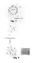 Fig. 08 - Manganese ion coated nanoparticles for delivery of compositions into the central nervous system by nasal insufflation