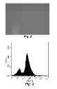 Fig. 09 - Manganese ion coated nanoparticles for delivery of compositions into the central nervous system by nasal insufflation
