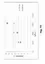 Fig. 16 - Manganese ion coated nanoparticles for delivery of compositions into the central nervous system by nasal insufflation