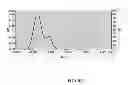 Fig. 02 - Spray-dried pharmaceutical compositions comprising active agent nanoparticles
