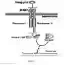 Fig. 02 - BONE MORPHOGENETIC PROTEIN PATHWAY ACTIVATION, COMPOSITIONS FOR OSSIFICATION, AND METHODS RELATED THERETO
