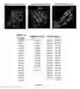 Fig. 03 - BONE MORPHOGENETIC PROTEIN PATHWAY ACTIVATION, COMPOSITIONS FOR OSSIFICATION, AND METHODS RELATED THERETO