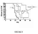 Fig. 09 - Combination Therapy for Treating Proliferative Diseases