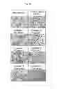 Fig. 05 - Method for treating vascular inflammation, improving skin beauty and improving male sexual function using ginseng berry